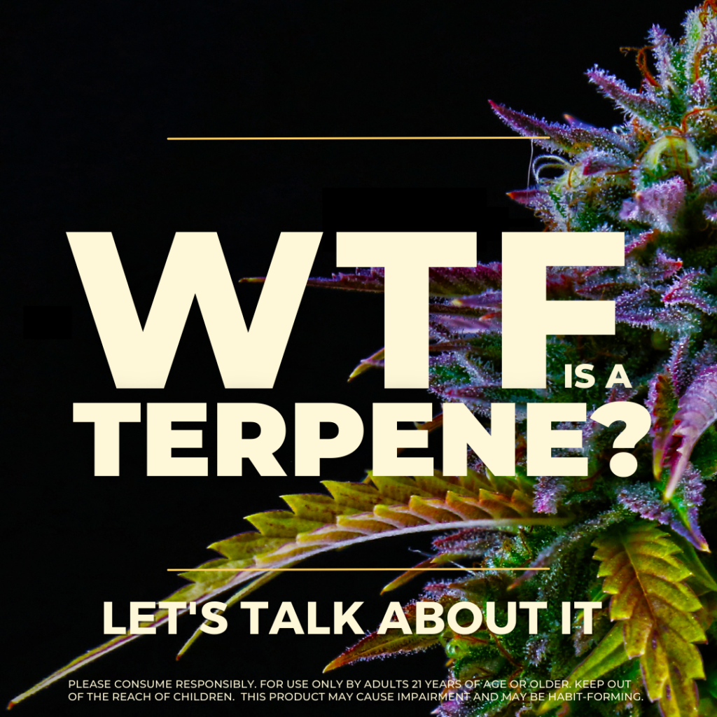 Background image: A purple and green cannabis plant comes in from the right side on a black background. The text reads "WTF is a Terpene?" Let's talk about it." Regulations on page read: "let's talk about it"