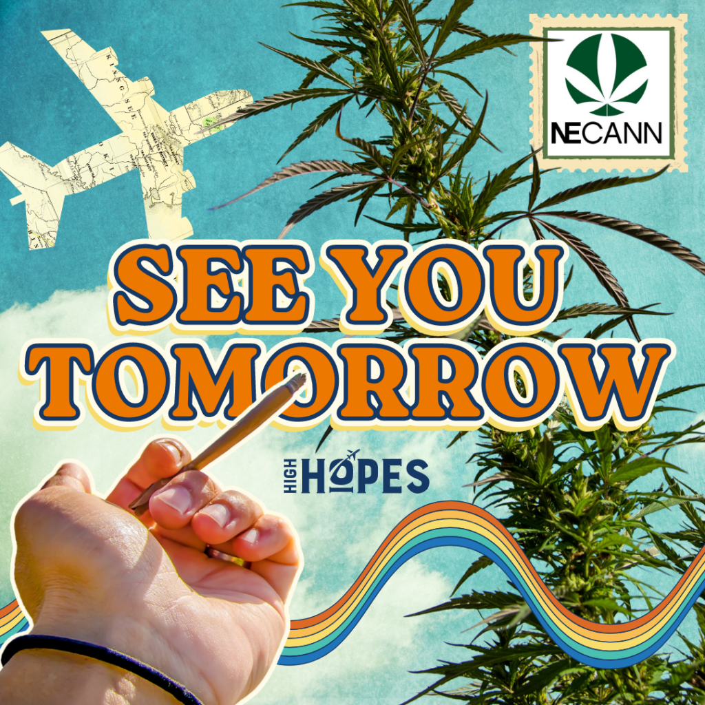 Backgorund: A blue sky with a film grain overlay, a plane cut out of a map, and a mail stamp with the North East Cannabis Convention logo. A cannabis plant crosses from the top center to the bottom right. In front of that are multicolored wavry lines, and a hand extending into frame that is holding a joint that crossed into the text in the center of the screen that read :See you tomorrow". Below the text is the High hopes Cannabis Dispensary logo